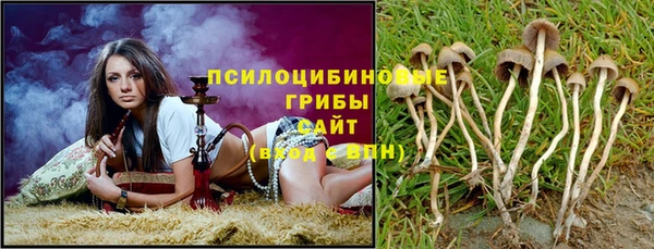 гидропоника Барнаул