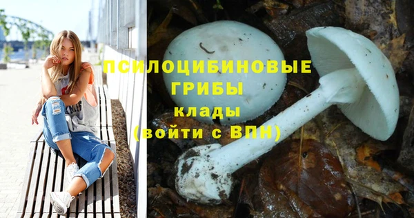 мескалин Ессентукская