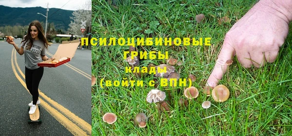 сатива Мосальск
