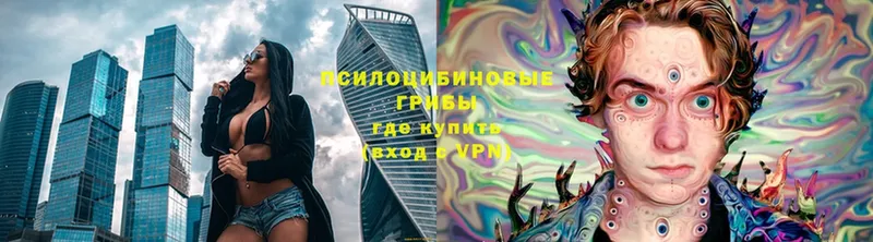 даркнет формула  купить наркотик  Алейск  Галлюциногенные грибы Psilocybine cubensis 